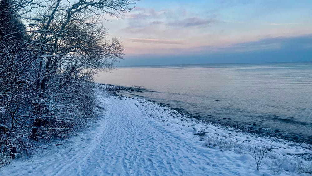 Vom Mut, wieder Schritte zu setzen Beitragsbild