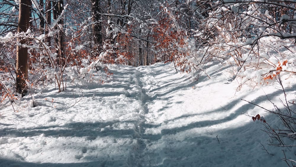 Im Winter der Systeme Beitragsbild