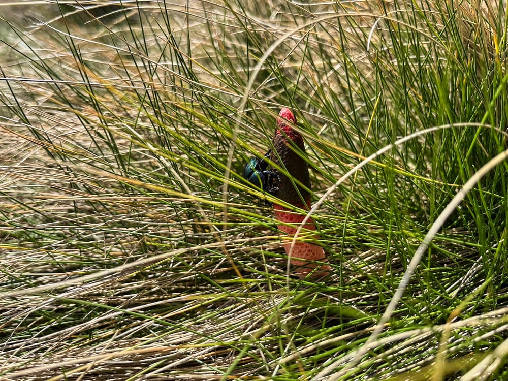 Höher, schneller, weiter - Echt jetzt?! Beitragsbild