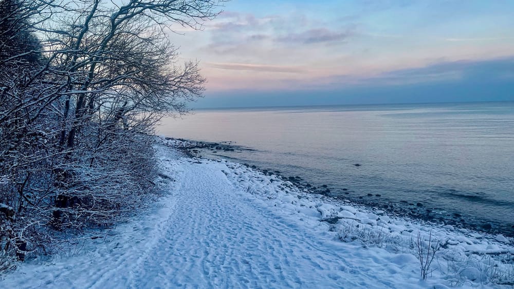 Vom Mut, wieder Schritte zu setzen Beitragsbild