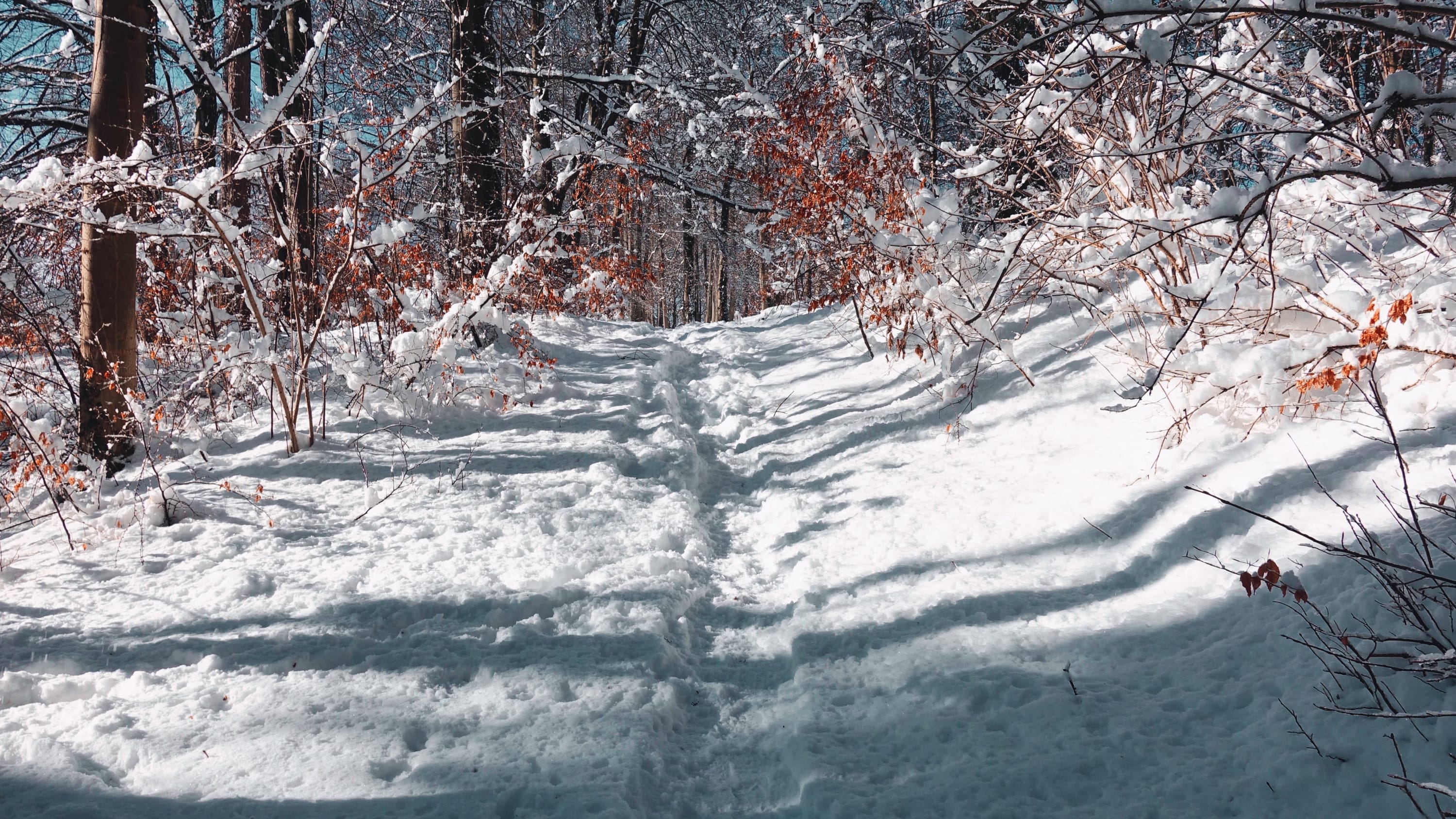 Im Winter der Systeme