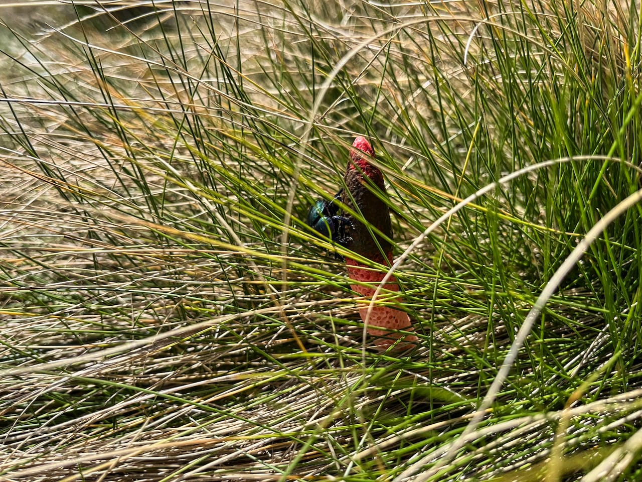 Höher, schneller, weiter - Echt jetzt?!