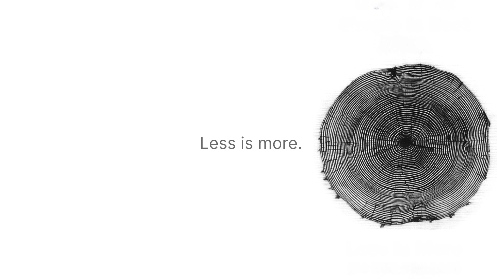 LaMa on Trail Titelbild